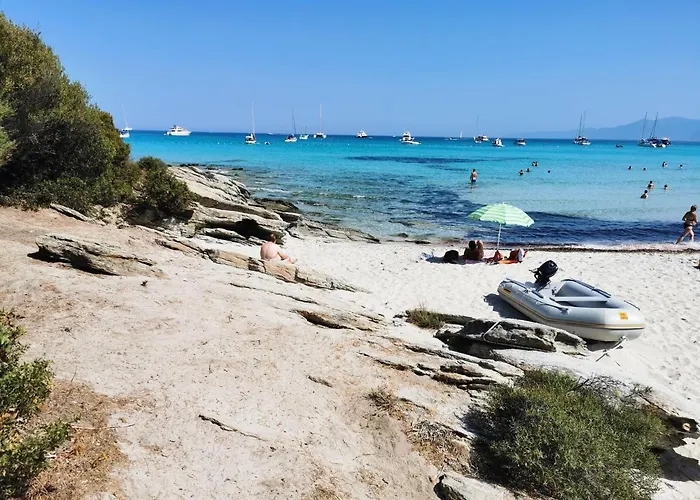 Farfalla Calvi