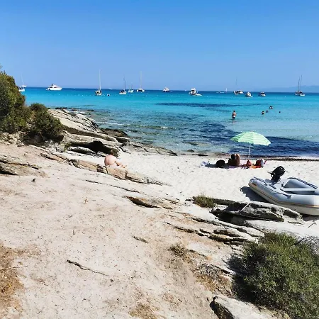 Farfalla Calvi (Corsica)