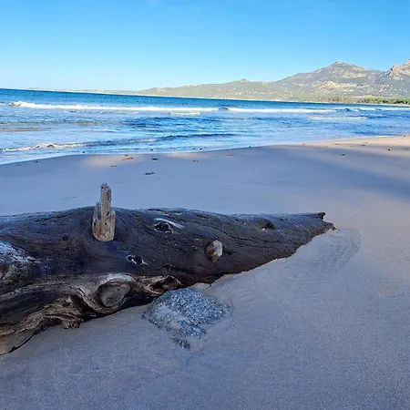 Apartament Farfalla *