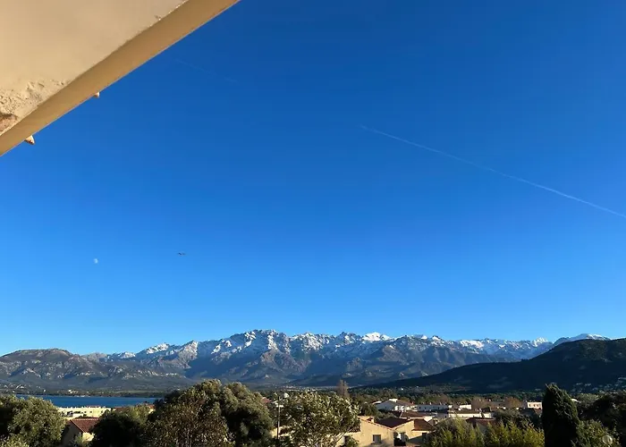 Farfalla * Calvi (Corsica)